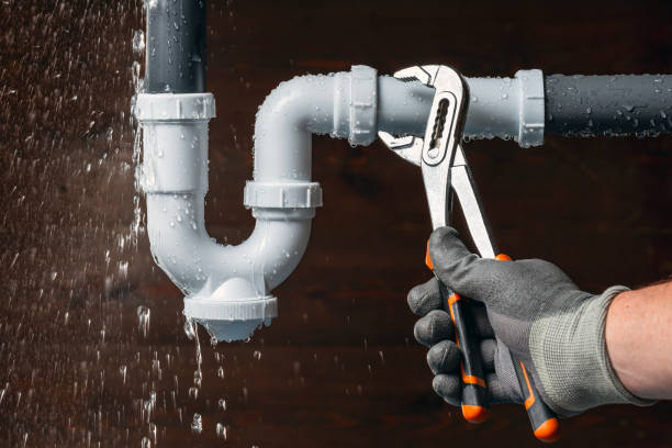 Professional Plumbing technician working in Hudgins, VA